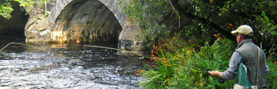 Game Fishing with Spiddal Angling School